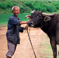 小型飼料顆粒機(jī),農(nóng)民圓夢(mèng)！